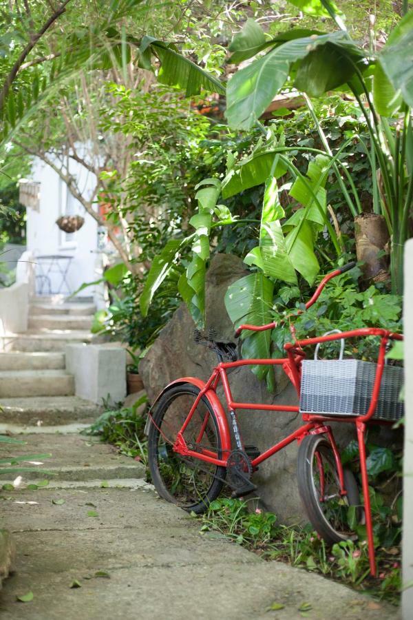 Little Forest Guest House โจฮันเนสเบิร์ก ภายนอก รูปภาพ